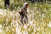 لادن مستوفی در نمایی از فیلم شب بخیر فرمانده