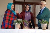 خسرو شکیبایی، مریلا زارعی و فاطمه گودرزی  در نمایی از فیلم «دست های خالی»